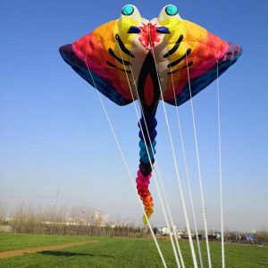 Kites & Accessories | 15M 30D Ray Devil Fish Soft Kite Nylon Linha De Pipas Chilenas Inflatable Performance Competition Kites Tear Resistance Cometas Kites & Accessories Kites & Accessories