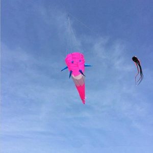 Kites & Accessories | Large Kite Windsocks Kite Tails Ripstop Nylon Fabric Inflatable Kite Accessories 3D Kite Pendant Kite Trilobites Kites & Accessories Kites & Accessories