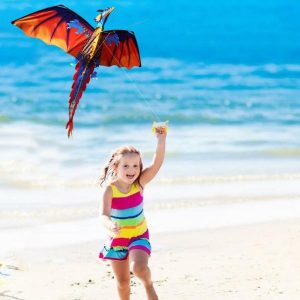 Toy Sports | 3D Dragon Kite Long Tail Outdoor Sports Flying Kite Outdoor Fun Toy 100M Line Birthday Xmas Gift Sports & Outdoor Activities Toy Sports