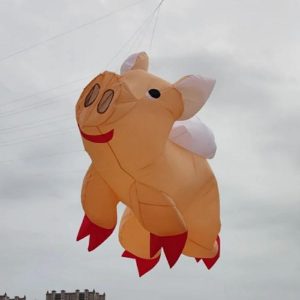 Spinning Top | Inflatable Kites Show Giant Kite Pendant Pig Kites Flying Toys Large Kite Professional Kite Spinning Top With Rope Hobby Spinning Top