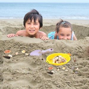 Beach Sand Toys | Beach Sifter 4Pcs Multi-Colored Sand Sifter Sieves Shelling Tools For Gardening Digging Beach Sand Toys Sand Strainer Beach Sand Toys Beach Sand Toys