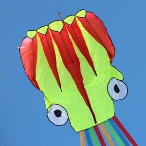 Kites & Accessories | Kite With Handle Lin Flying Freely Good Flight Kite Accessories Octopus Kite Finely Crafted High Quality Kite Fun Toys Kites & Accessories Kites & Accessories