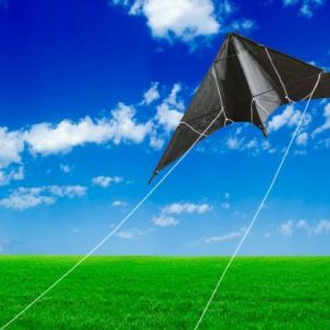 Kites & Accessories | New Arrive 47Inch Professional Black Dual Line Stunt Kite With Handle And Line Good Flying Factory Outlet Kites & Accessories Kites & Accessories